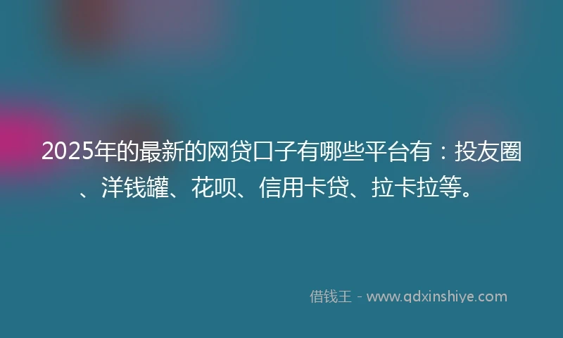 2025年的最新的网贷口子有哪些平台有：投友圈、洋钱罐、花呗、信用卡贷、拉卡拉等。