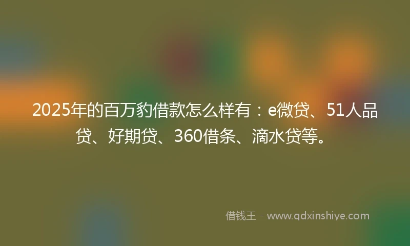2025年的百万豹借款怎么样有：e微贷、51人品贷、好期贷、360借条、滴水贷等。