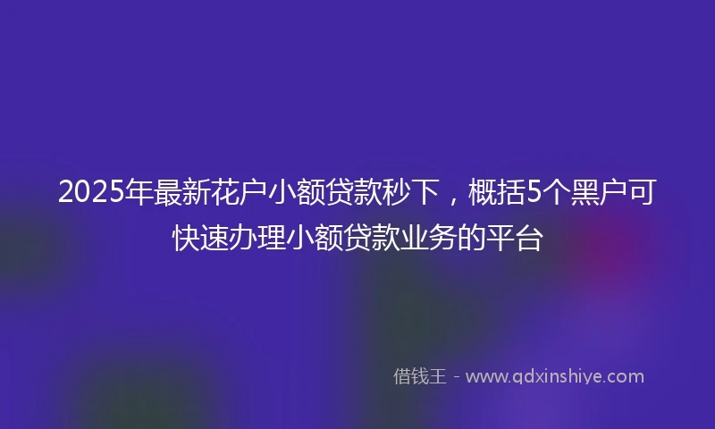 2025年最新花户小额贷款秒下，概括5个黑户可快速办理小额贷款业务的平台