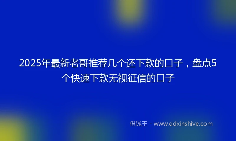 2025年最新老哥推荐几个还下款的口子，盘点5个快速下款无视征信的口子