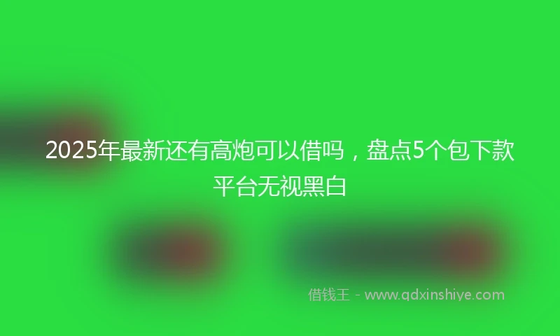 2025年最新还有高炮可以借吗,盘点5个包下款平台无视黑白