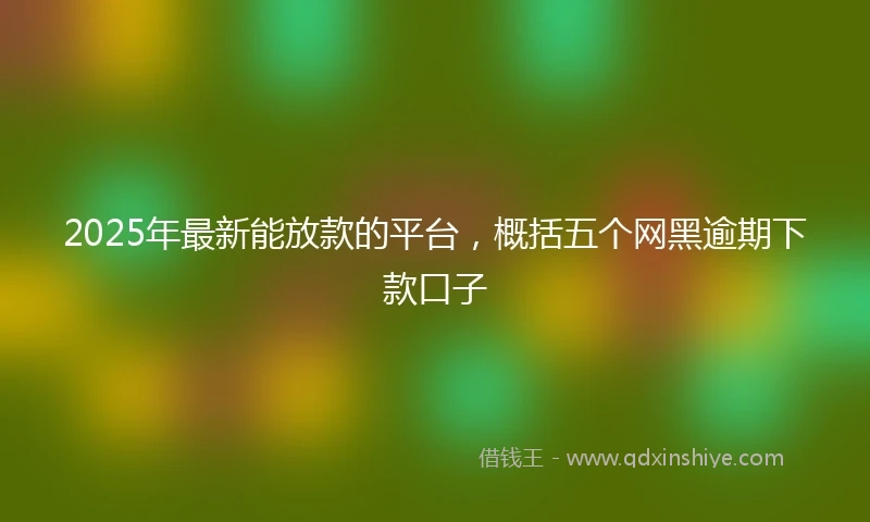 2025年最新能放款的平台，概括五个网黑逾期下款口子