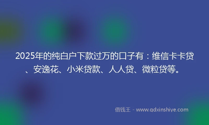 2025年的纯白户下款过万的口子有：维信卡卡贷、安逸花、小米贷款、人人贷、微粒贷等。