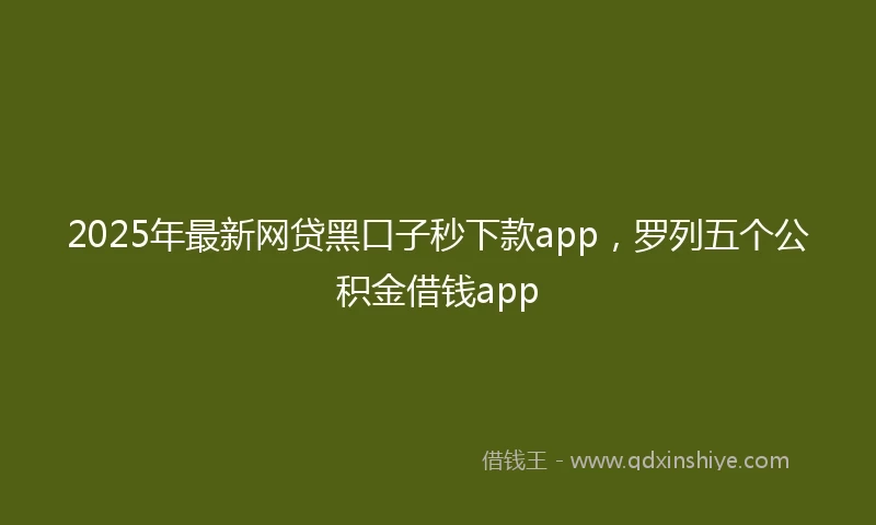 2025年最新网贷黑口子秒下款app，罗列五个公积金借钱app