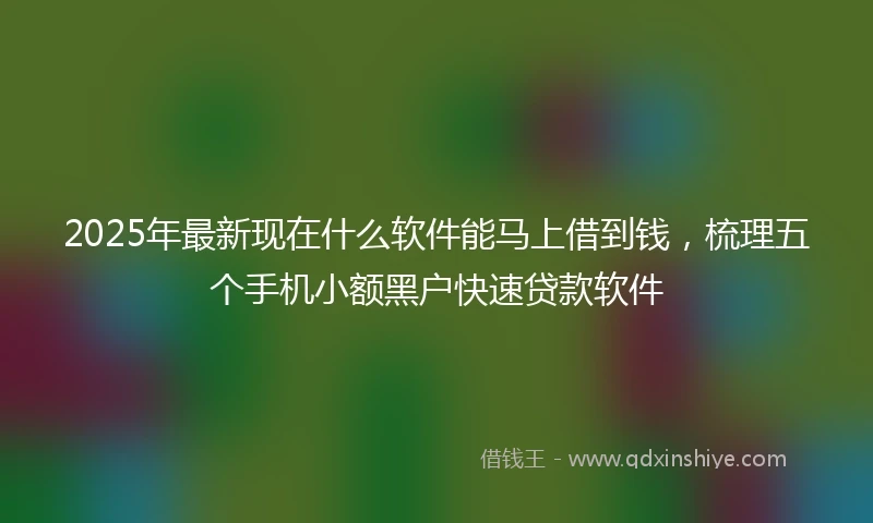 2025年最新现在什么软件能马上借到钱，梳理五个手机小额黑户快速贷款软件