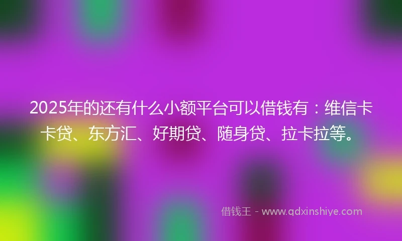 2025年的还有什么小额平台可以借钱有：维信卡卡贷、东方汇、好期贷、随身贷、拉卡拉等。