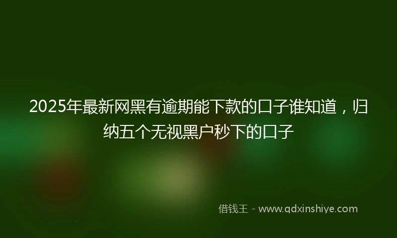 2025年最新网黑有逾期能下款的口子谁知道，归纳五个无视黑户秒下的口子