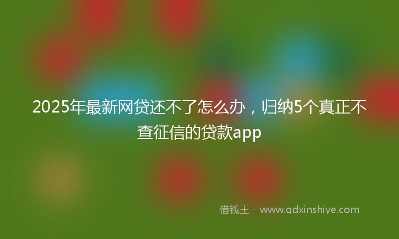 2025年最新网贷还不了怎么办，归纳5个真正不查征信的贷款app