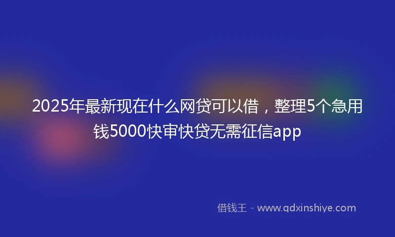 2025年最新现在什么网贷可以借，整理5个急用钱5000快审快贷无需征信app