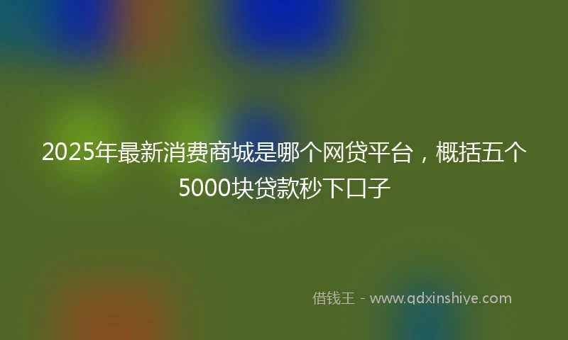 2025年最新消费商城是哪个网贷平台，概括五个5000块贷款秒下口子