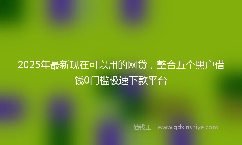 2025年最新现在可以用的网贷，整合五个黑户借钱0门槛极速下款平台
