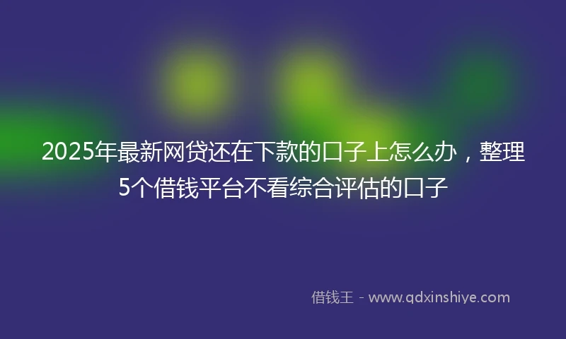 2025年最新网贷还在下款的口子上怎么办，整理5个借钱平台不看综合评估的口子