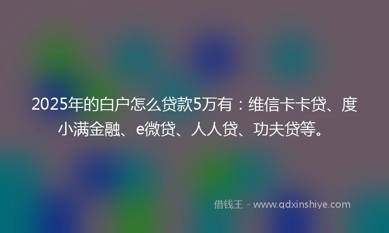 2025年的白户怎么贷款5万有：维信卡卡贷、度小满金融、e微贷、人人贷、功夫贷等。