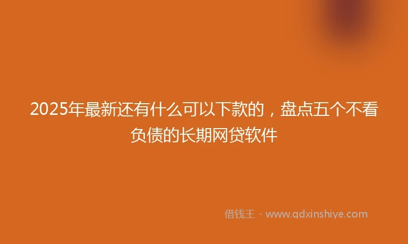 2025年最新还有什么可以下款的，盘点五个不看负债的长期网贷软件