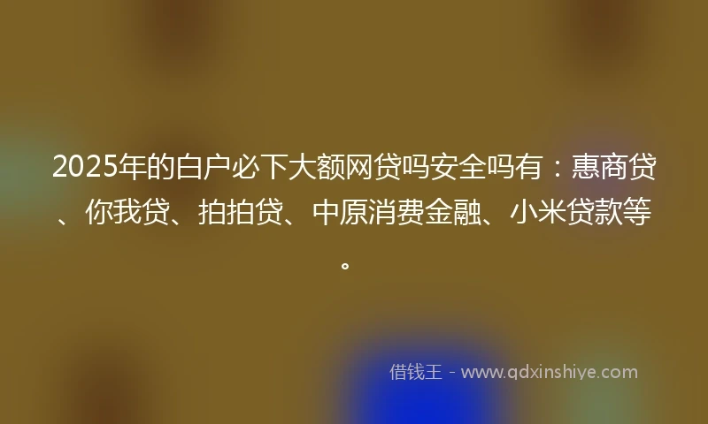 2025年的白户必下大额网贷吗安全吗有：惠商贷、你我贷、拍拍贷、中原消费金融、小米贷款等。