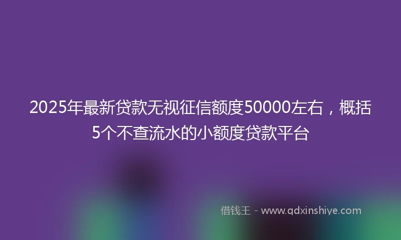 2025年最新贷款无视征信额度50000左右，概括5个不查流水的小额度贷款平台