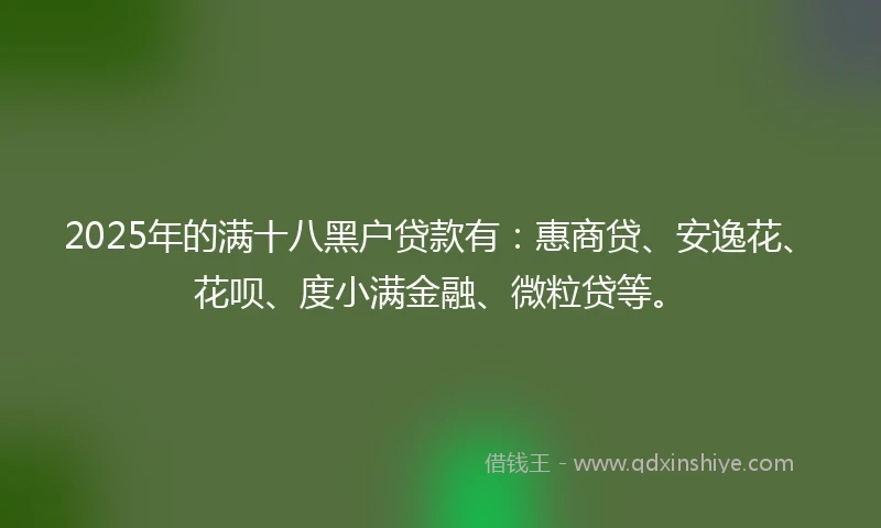2025年的满十八黑户贷款有：惠商贷、安逸花、花呗、度小满金融、微粒贷等。