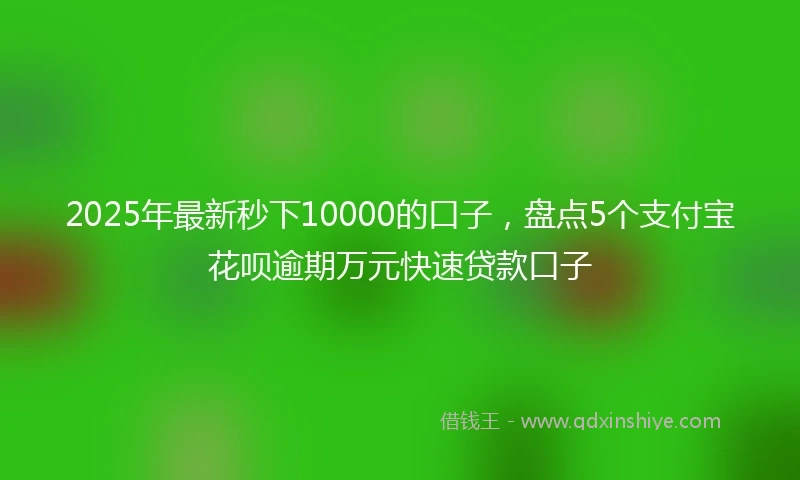 2025年最新秒下10000的口子，盘点5个支付宝花呗逾期万元快速贷款口子