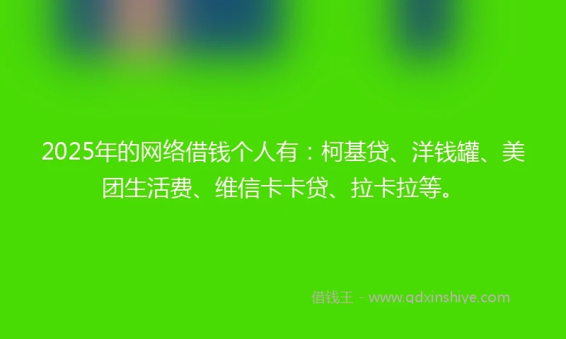 2025年的网络借钱个人有：柯基贷、洋钱罐、美团生活费、维信卡卡贷、拉卡拉等。