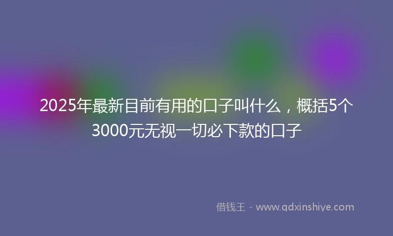 2025年最新目前有用的口子叫什么，概括5个3000元无视一切必下款的口子