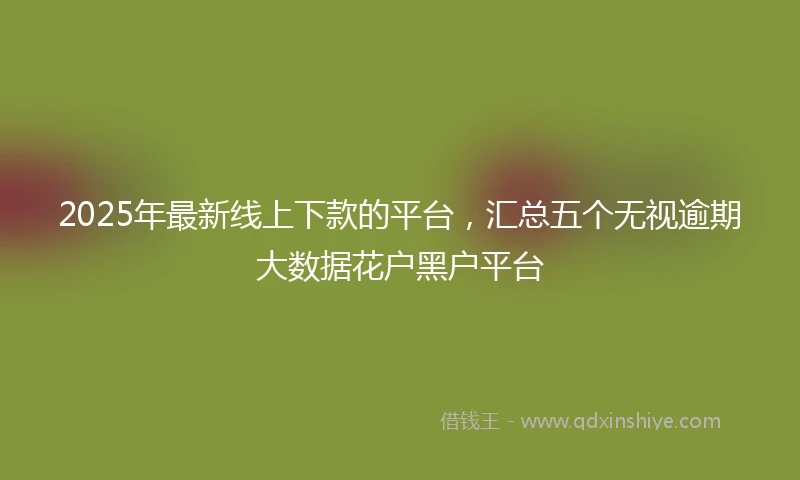 2025年最新线上下款的平台，汇总五个无视逾期大数据花户黑户平台