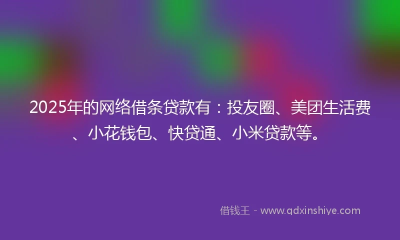 2025年的网络借条贷款有：投友圈、美团生活费、小花钱包、快贷通、小米贷款等。