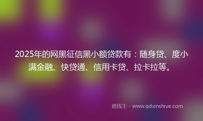 2025年的网黑征信黑小额贷款有：随身贷、度小满金融、快贷通、信用卡贷、拉卡拉等。
