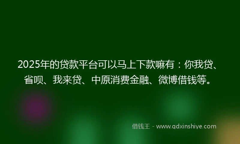 2025年的贷款平台可以马上下款嘛有：你我贷、省呗、我来贷、中原消费金融、微博借钱等。
