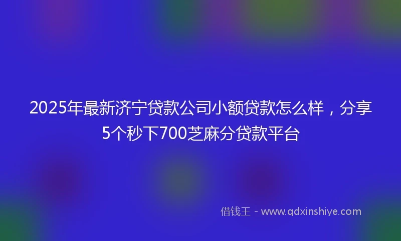 2025年最新济宁贷款公司小额贷款怎么样，分享5个秒下700芝麻分贷款平台