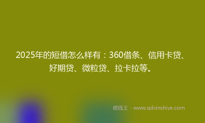 2025年的短借怎么样有：360借条、信用卡贷、好期贷、微粒贷、拉卡拉等。
