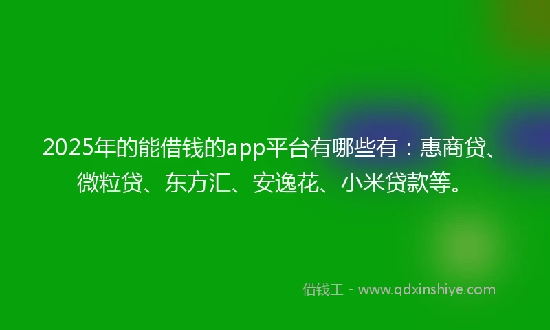 2025年的能借钱的app平台有哪些有：惠商贷、微粒贷、东方汇、安逸花、小米贷款等。