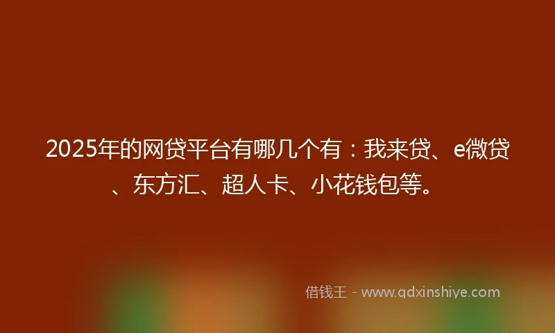 2025年的网贷平台有哪几个有：我来贷、e微贷、东方汇、超人卡、小花钱包等。