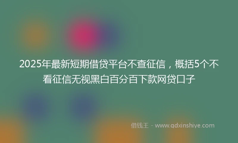 2025年最新短期借贷平台不查征信，概括5个不看征信无视黑白百分百下款网贷口子