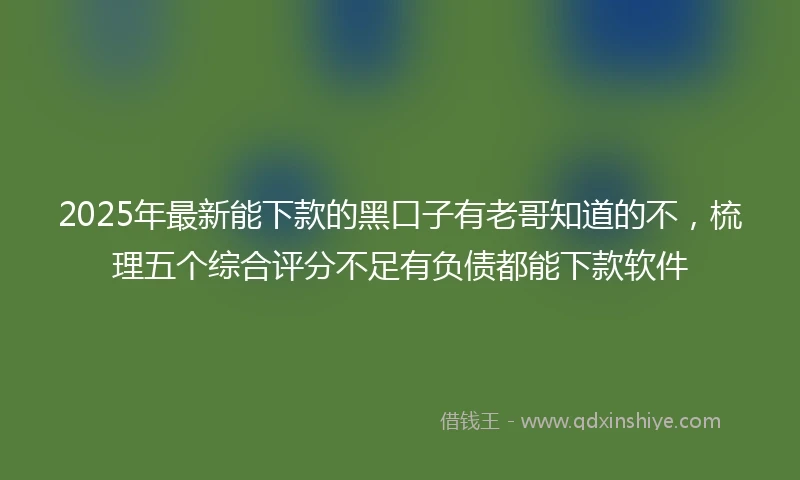 2025年最新能下款的黑口子有老哥知道的不，梳理五个综合评分不足有负债都能下款软件