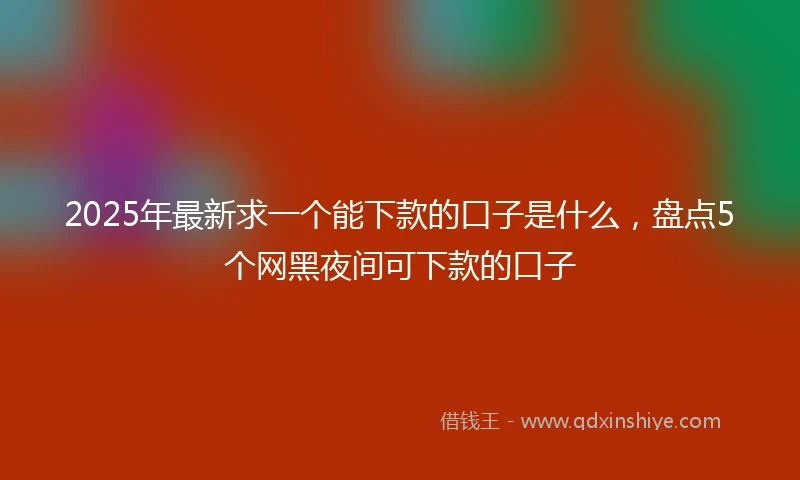 2025年最新求一个能下款的口子是什么，盘点5个网黑夜间可下款的口子