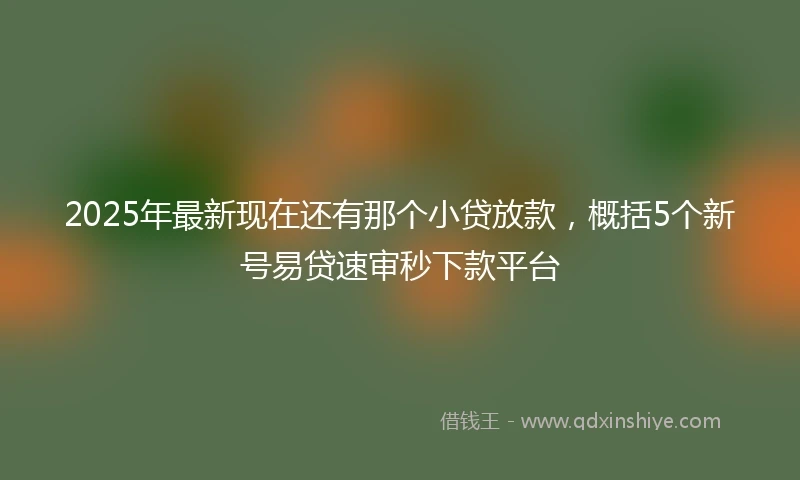 2025年最新现在还有那个小贷放款，概括5个新号易贷速审秒下款平台