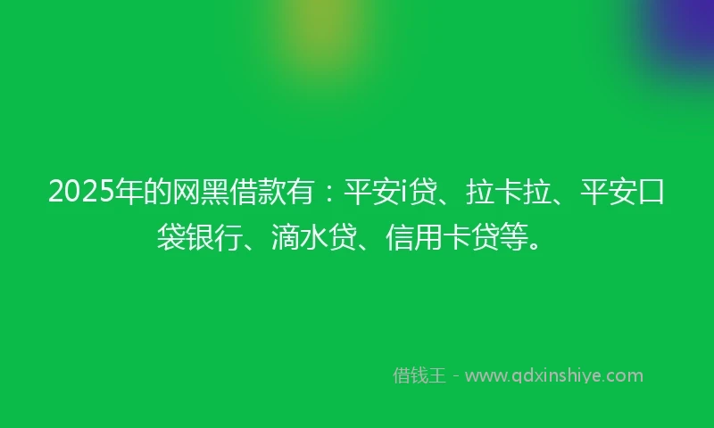 2025年的网黑借款有：平安i贷、拉卡拉、平安口袋银行、滴水贷、信用卡贷等。