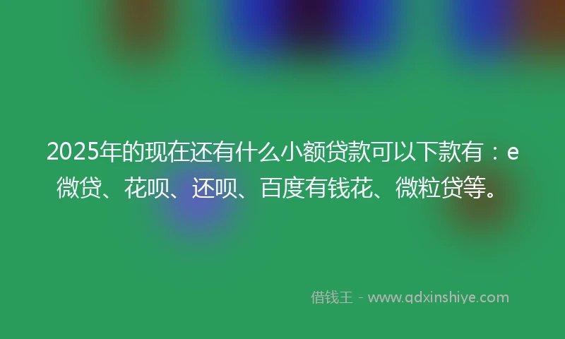 2025年的现在还有什么小额贷款可以下款有：e微贷、花呗、还呗、百度有钱花、微粒贷等。