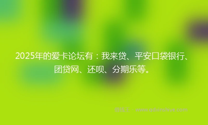 2025年的爱卡论坛有：我来贷、平安口袋银行、团贷网、还呗、分期乐等。