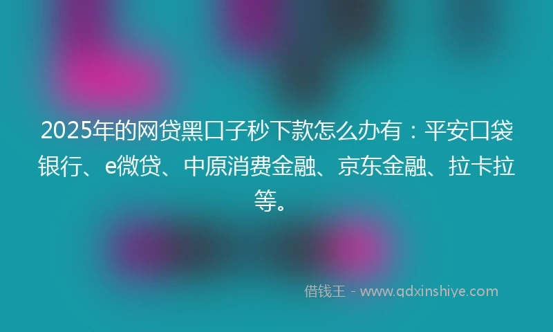 2025年的网贷黑口子秒下款怎么办有：平安口袋银行、e微贷、中原消费金融、京东金融、拉卡拉等。
