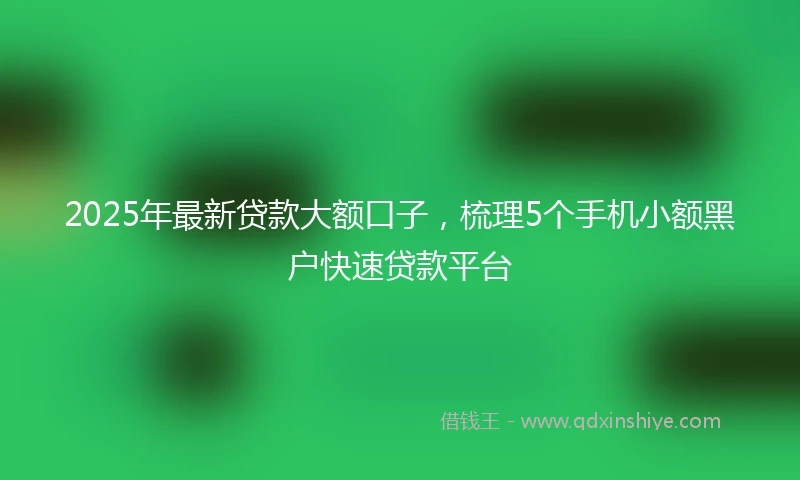 2025年最新贷款大额口子，梳理5个手机小额黑户快速贷款平台