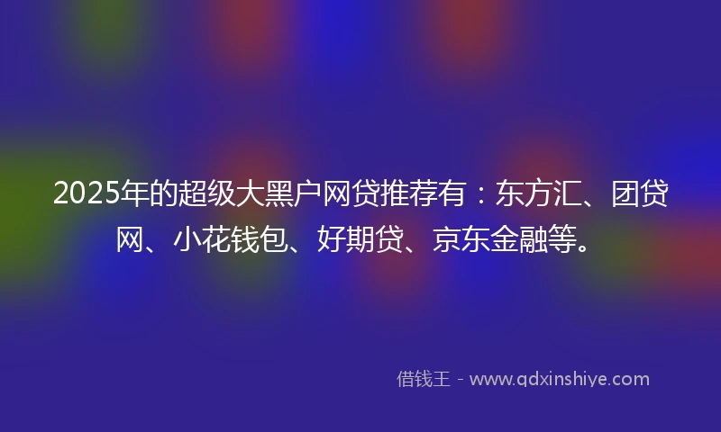 2025年的超级大黑户网贷推荐有：东方汇、团贷网、小花钱包、好期贷、京东金融等。