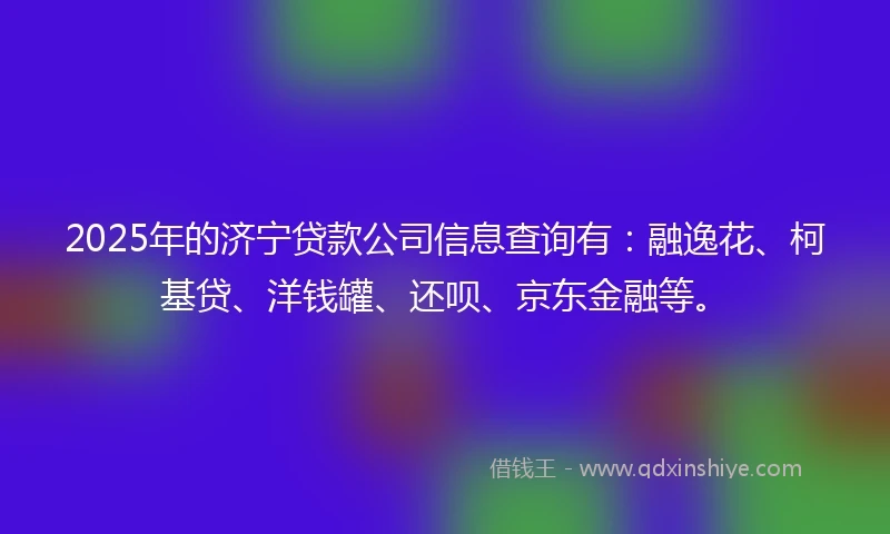 2025年的济宁贷款公司信息查询有：融逸花、柯基贷、洋钱罐、还呗、京东金融等。