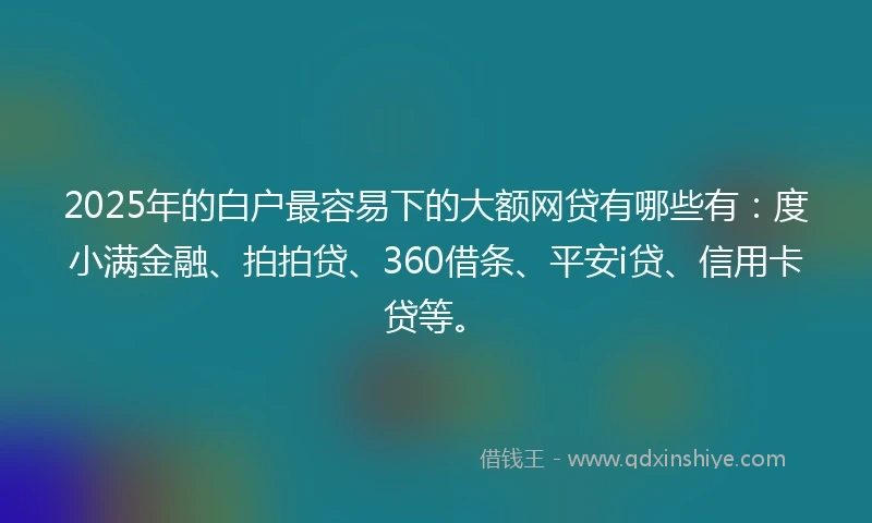 2025年的白户最容易下的大额网贷有哪些有：度小满金融、拍拍贷、360借条、平安i贷、信用卡贷等。