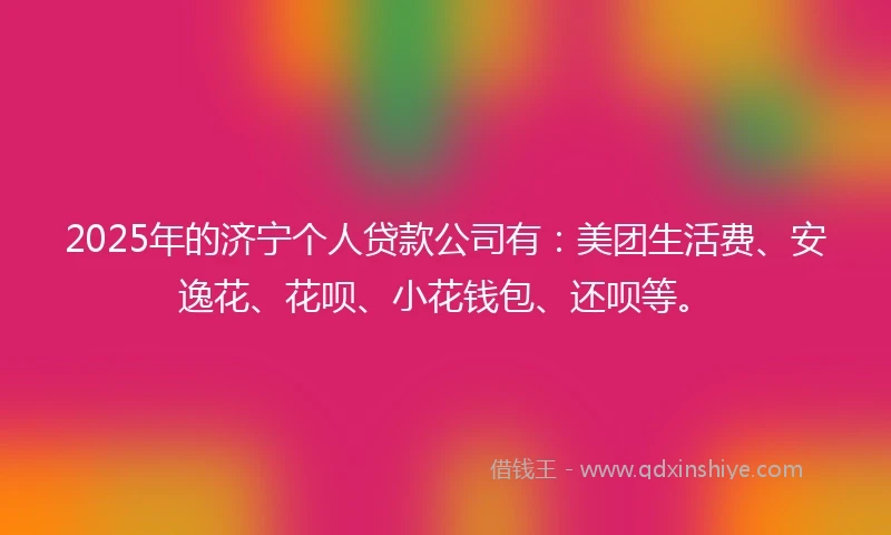 2025年的济宁个人贷款公司有：美团生活费、安逸花、花呗、小花钱包、还呗等。