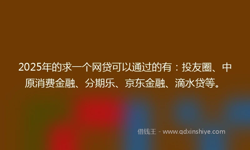2025年的求一个网贷可以通过的有：投友圈、中原消费金融、分期乐、京东金融、滴水贷等。