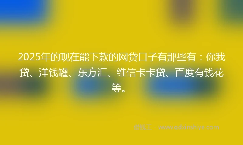 2025年的现在能下款的网贷口子有那些有：你我贷、洋钱罐、东方汇、维信卡卡贷、百度有钱花等。