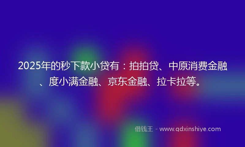 2025年的秒下款小贷有：拍拍贷、中原消费金融、度小满金融、京东金融、拉卡拉等。