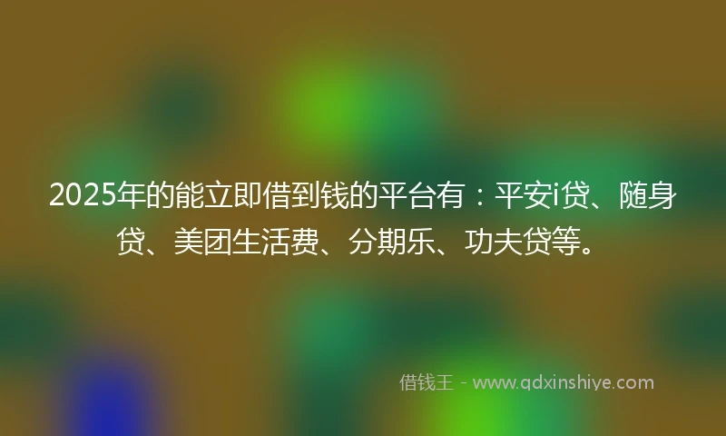2025年的能立即借到钱的平台有：平安i贷、随身贷、美团生活费、分期乐、功夫贷等。