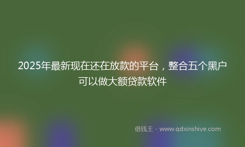 2025年最新现在还在放款的平台，整合五个黑户可以做大额贷款软件